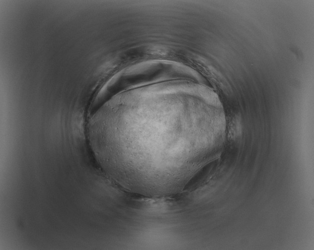 X0000116340524200912291614