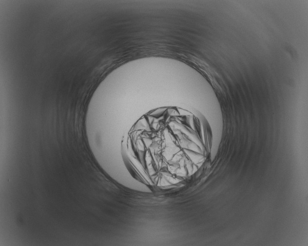 X0000116340525200912291614