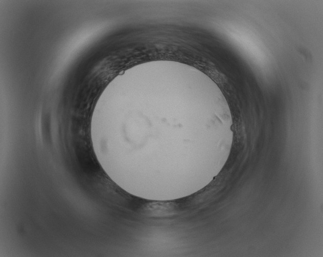 X0000116340526200912291614