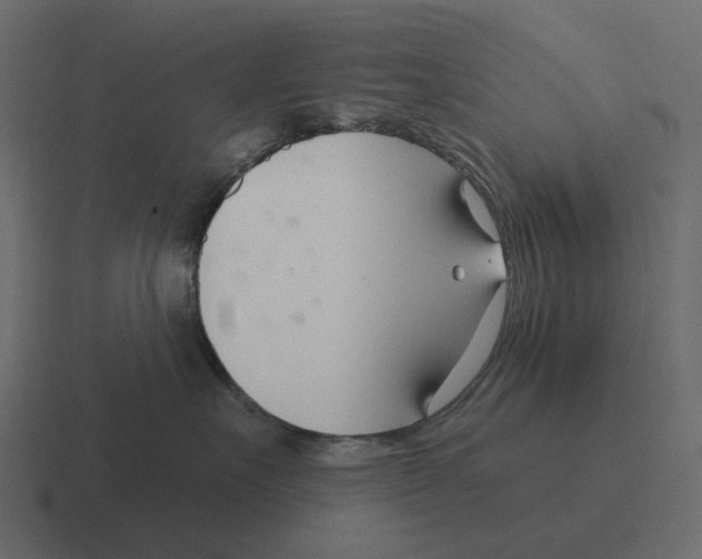 X0000116340527200912291614