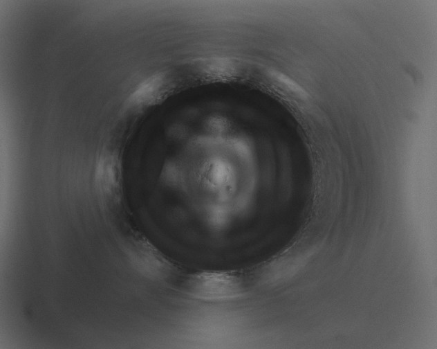 X0000116340528200912291614