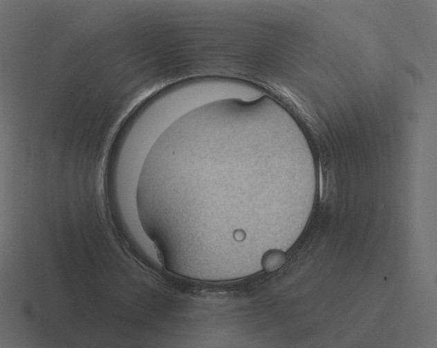 X0000116340531200912291614