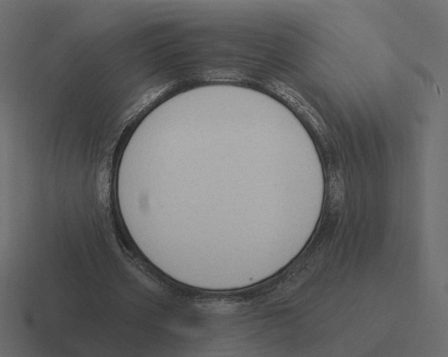 X0000116340533200912291614