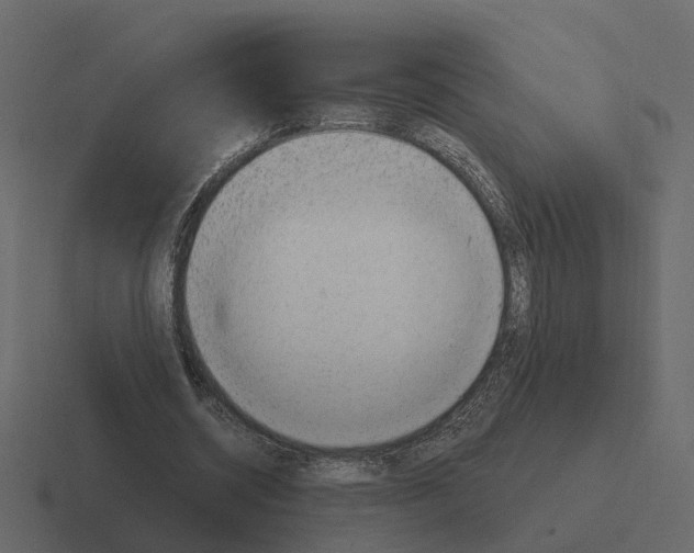 X0000116340534200912291614