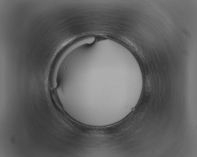 X0000116340535200912291614