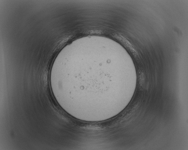 X0000116340537200912291614