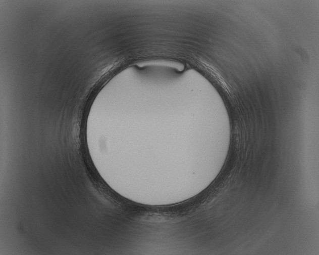 X0000116340538200912291614