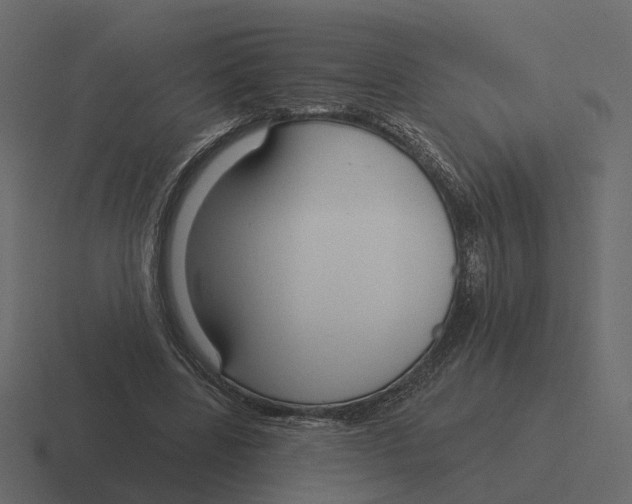 X0000116340539200912291614