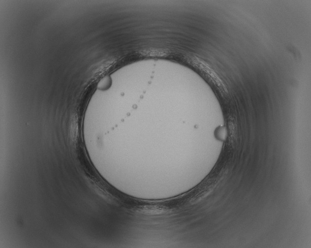 X0000116340541200912291614