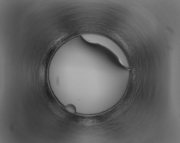 X0000116340542200912291614