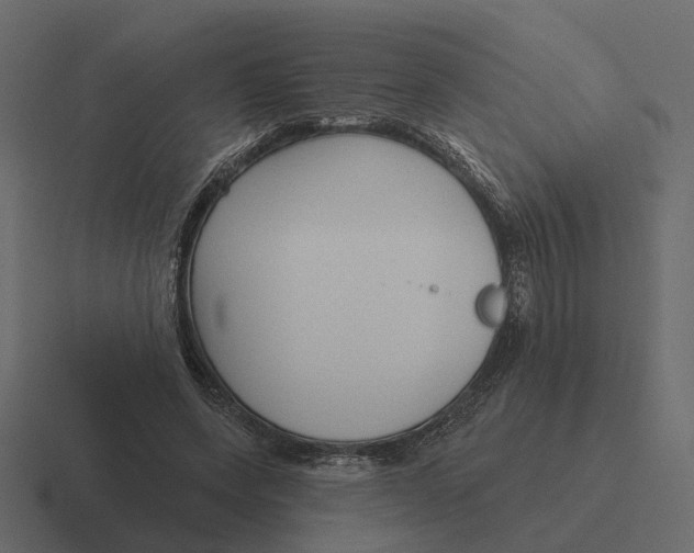 X0000116340543200912291614