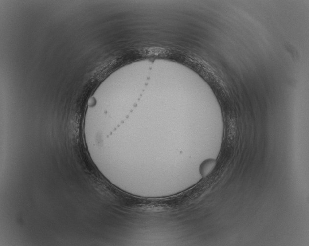 X0000116340545200912291614