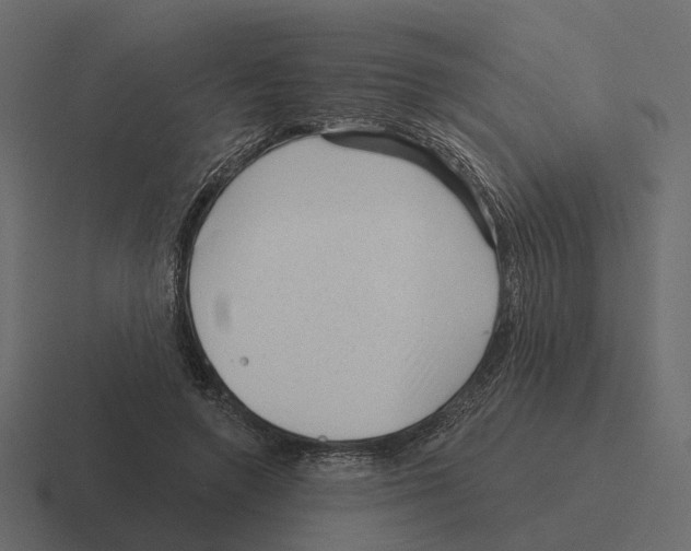 X0000116340546200912291614