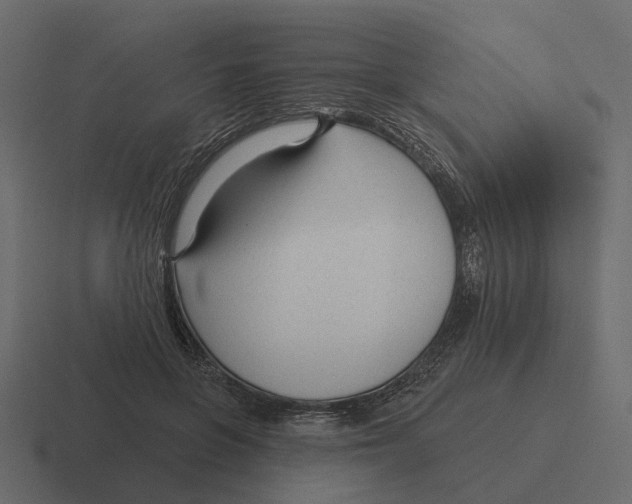 X0000116340551200912291614