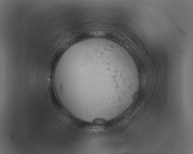 X0000116340553200912291614