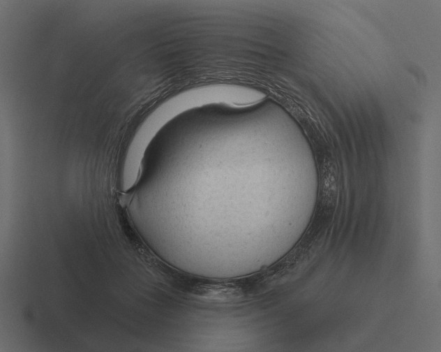 X0000116340555200912291614