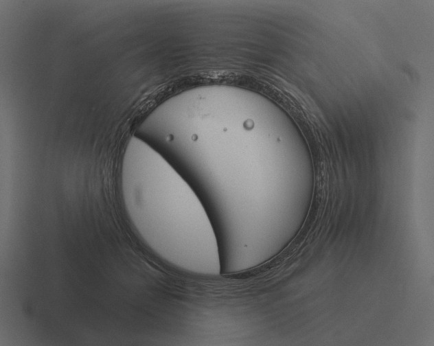 X0000116340558200912291614