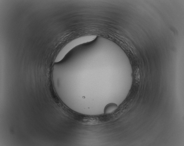 X0000116340559200912291614