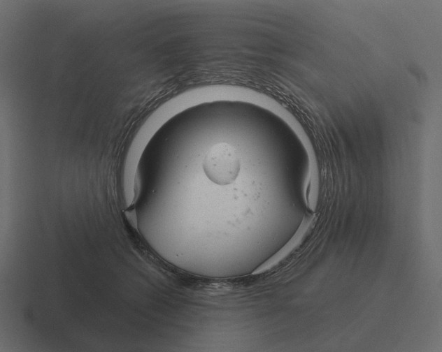 X0000116340562200912291614