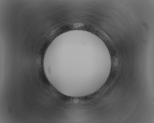 X0000116340565200912291614