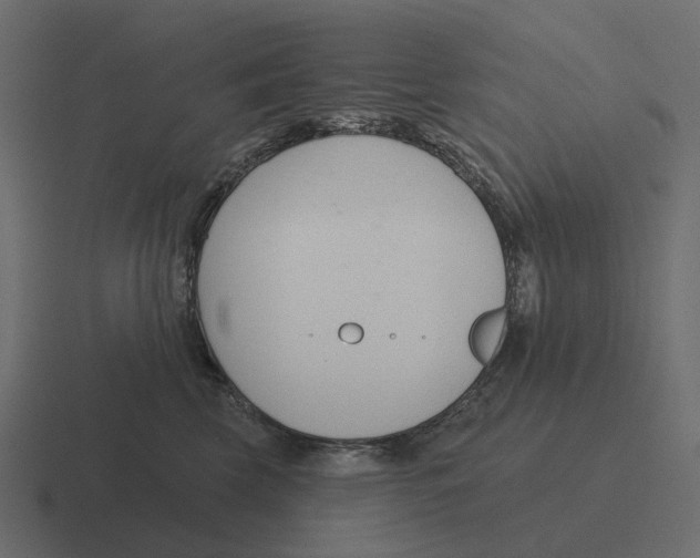 X0000116340569200912291614