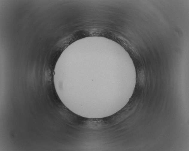 X0000116340571200912291614