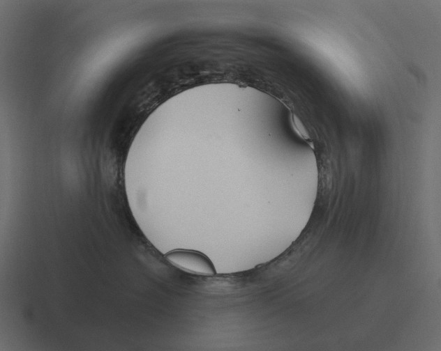 X0000116340574200912291614