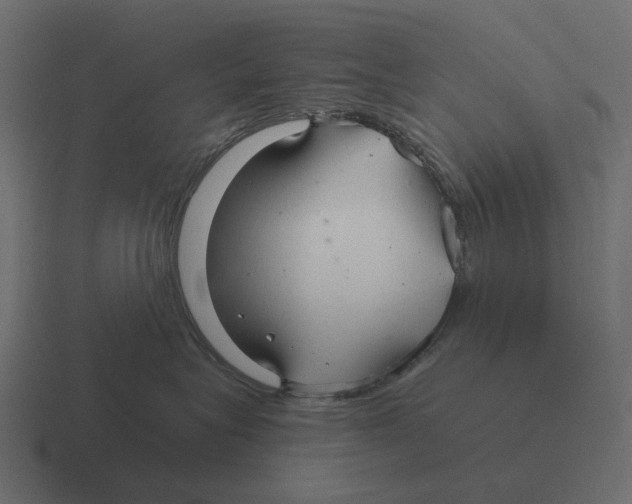 X0000116340575200912291614