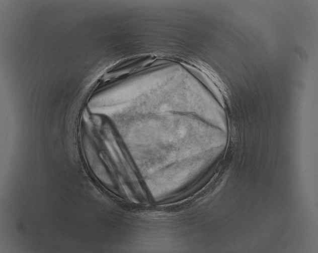 X0000116340577200912291614