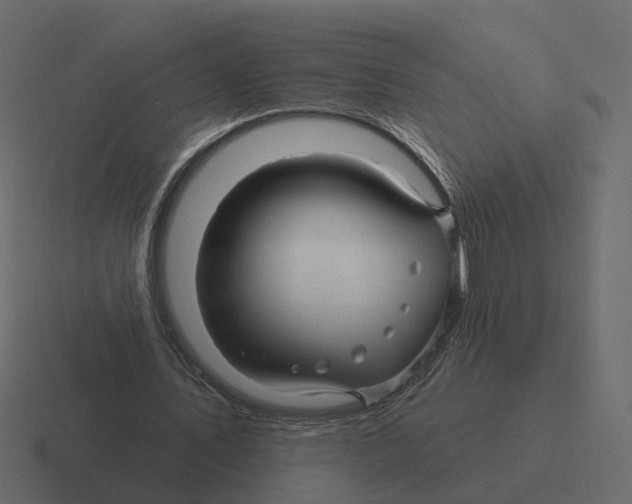 X0000116340579200912291614