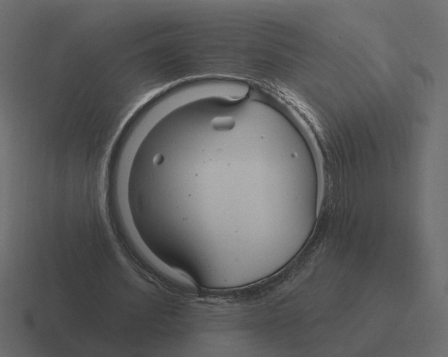 X0000116340580200912291614