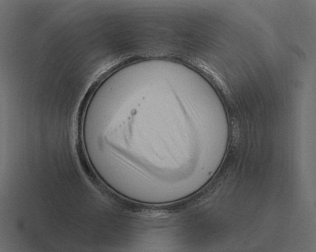 X0000116340582200912291614