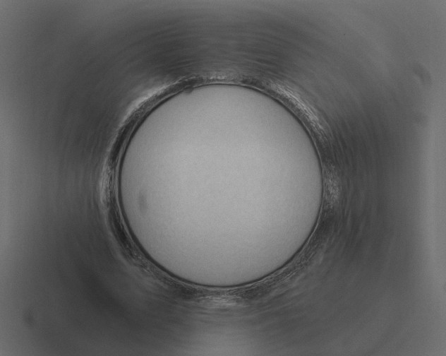 X0000116340583200912291614