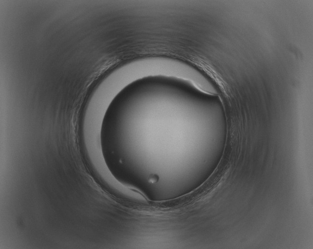 X0000116340585200912291614