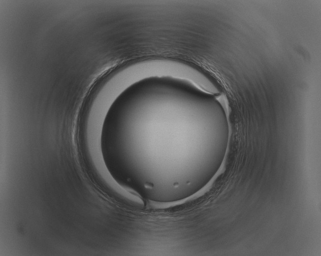 X0000116340587200912291614