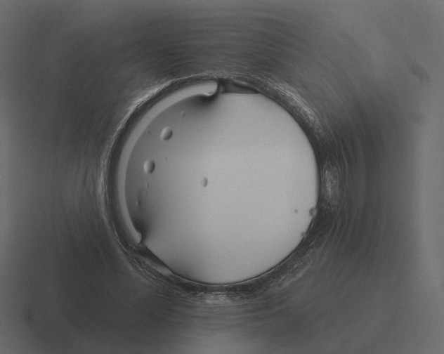 X0000116340588200912291614