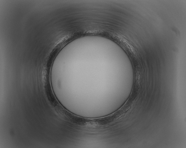 X0000116340591200912291614