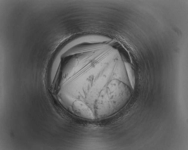 X0000116340592200912291614