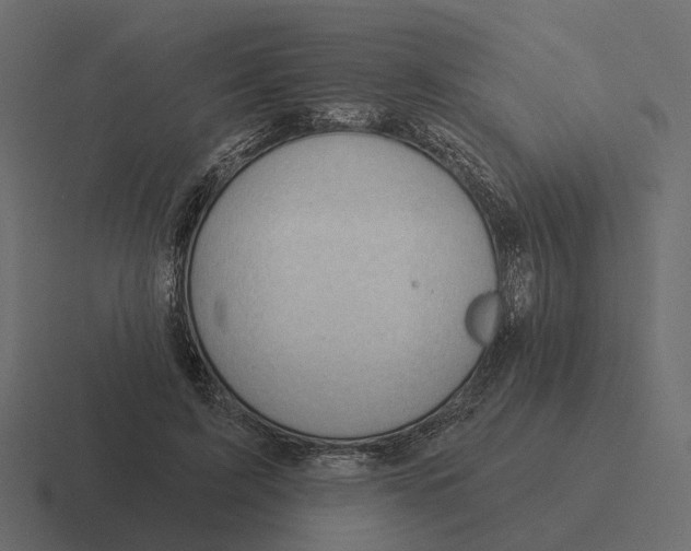 X0000116340595200912291613