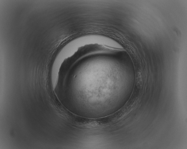 X0000116340600200912291613