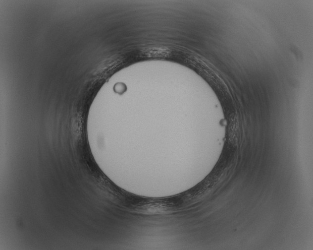 X0000116340604200912291613