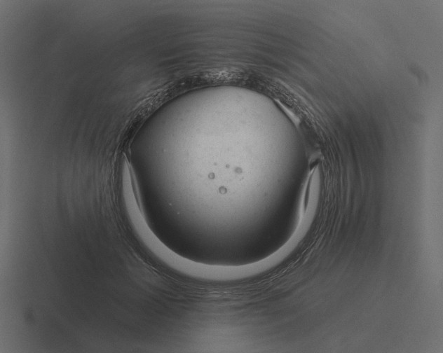 X0000116340605200912291613