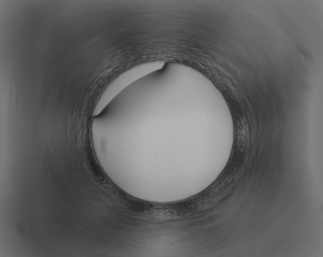 X0000116340608200912291613