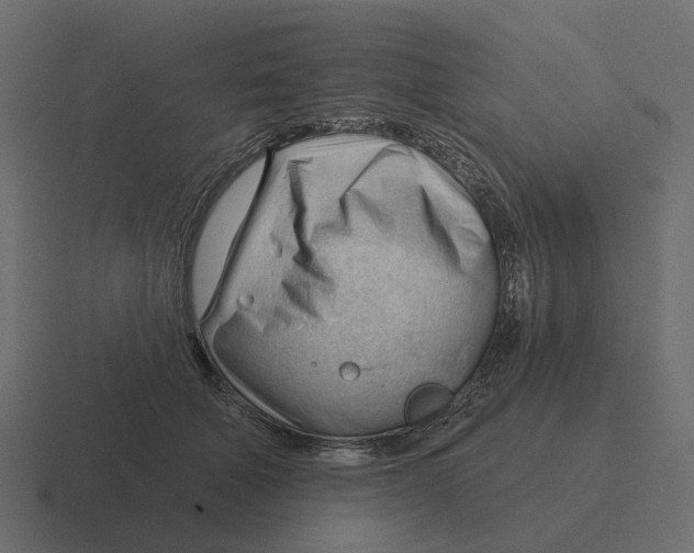 X0000116340610200912291613