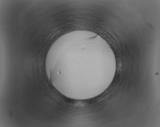 X0000116340616200912291613