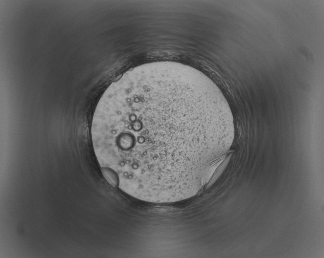 X0000116340617200912291613