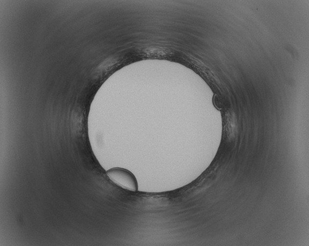 X0000116340619200912291613