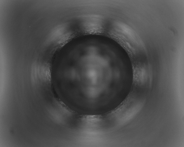 X0000116340622200912291613