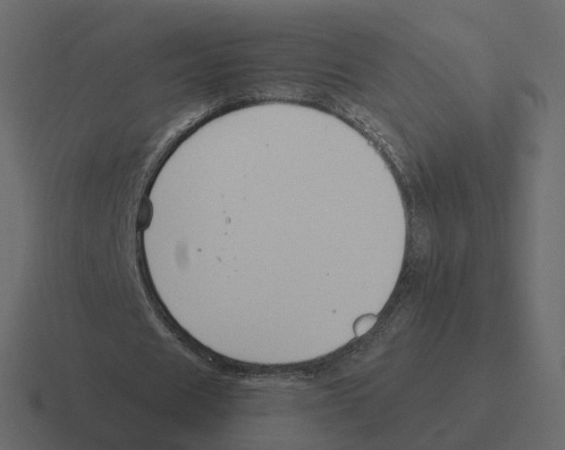 X0000116340625200912291613