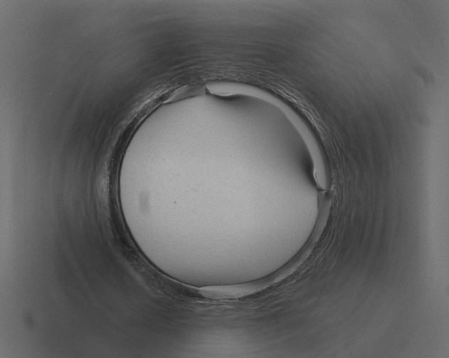 X0000116340626200912291613